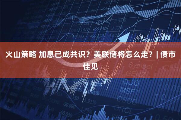 火山策略 加息已成共识？美联储将怎么走？| 债市佳见