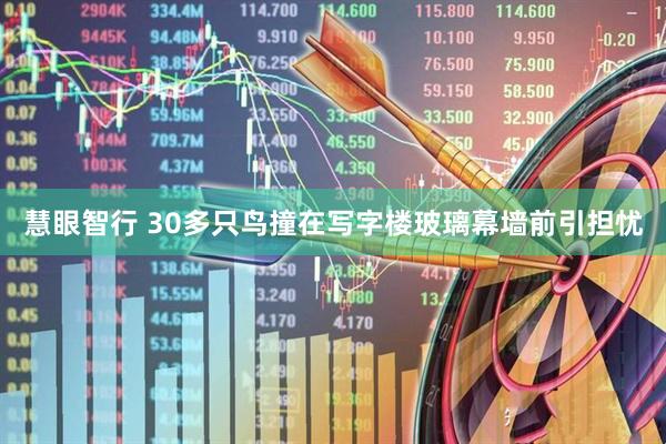慧眼智行 30多只鸟撞在写字楼玻璃幕墙前引担忧