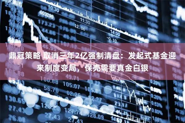 鼎冠策略 取消三年2亿强制清盘：发起式基金迎来制度变局，保壳需要真金白银